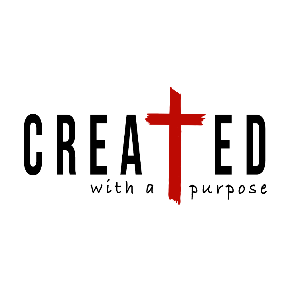 Shop Created Collection